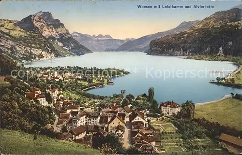 Weesen SG Panorama Walensee Leistkamm und Alvierkette Kat. Weesen