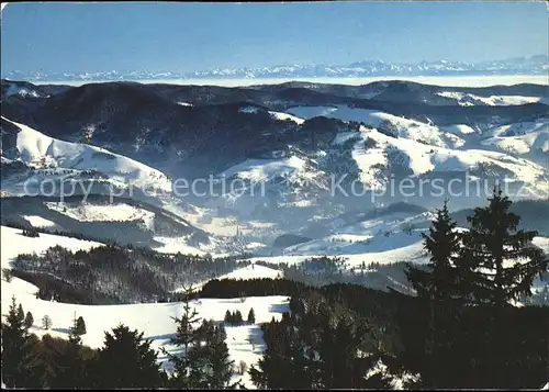 Belchen Baden Winterpanorama mit Alpenblick Kat. Neuenweg