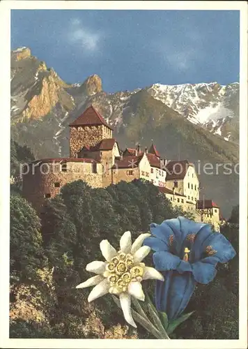 Vaduz Schloss mit Alpenblick Enzian Edelweiss Kat. Vaduz