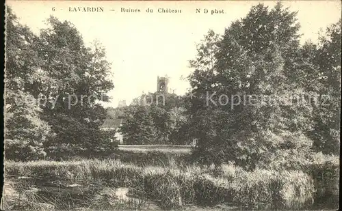 Lavardin Loir et Cher Ruines du Chateau Kat. Lavardin