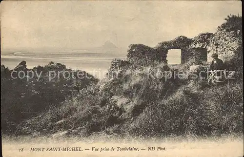 Mont Saint Michel Vue prise de Tombelaine Kat. Pontorson