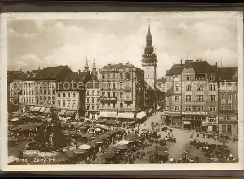 Brno Bruenn Zelny trh Marktplatz Denkmal / Brno /