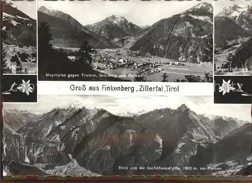 Finkenberg Tirol Mayrhofen Tristner Gruenberg Penken Edelweiss Gschoesswand Alpenpanorama Kat. Finkenberg