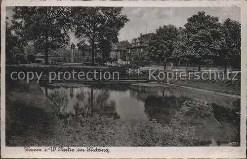 Hamm Westfalen Partie am Suedring Teich Bromsilber Imitation Kat. Hamm