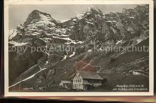 Musenalp mit Aufstieg zum Urirotstock Urner Alpen Kat. Musenalp