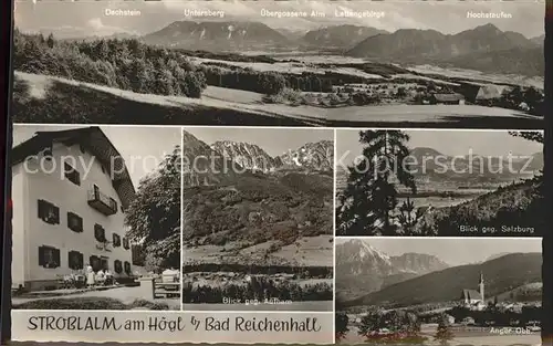 Bad Reichenhall Strobalm am Hoegl und Umgebung Alpenpanorama Kat. Bad Reichenhall