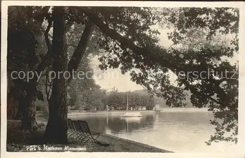 Mammern Park beim Kurhaus Uferpartie am Untersee Kat. Mammern