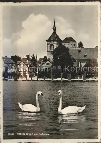 Arbon TG am Bodensee Schwan Kirche Kat. Arbon