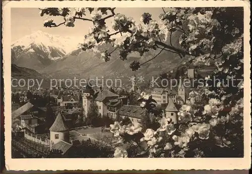 Merano Suedtirol Panorama mit Alpen Baumbluete Kat. Merano