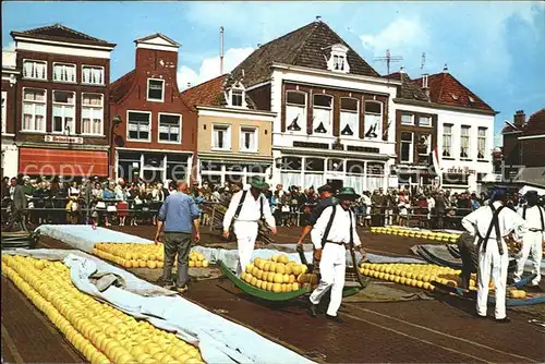 Alkmaar Cheese Market Kaesemarkt Kat. Alkmaar