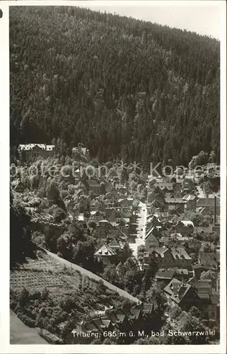 Triberg Schwarzwald  Kat. Triberg im Schwarzwald