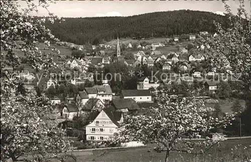 Baiersbronn Schwarzwald  Kat. Baiersbronn