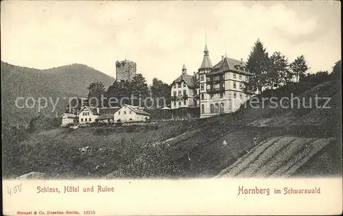 Hornberg Schwarzwald Schloss Hotel Ruine Kat. Hornberg