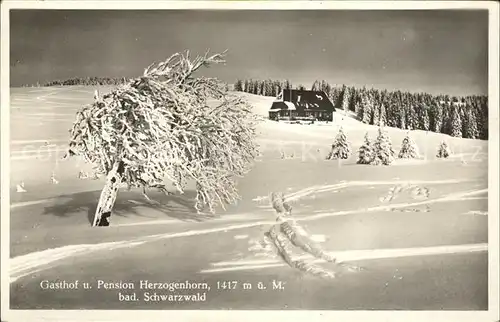 Bernau Schwarzwald Gasthof Pension Herzogenhorn Kat. Bernau im Schwarzwald