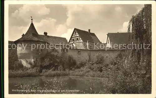 Weissenburg Bayern Stadtmauerpartie am Seeweiher Kat. Weissenburg i.Bay.