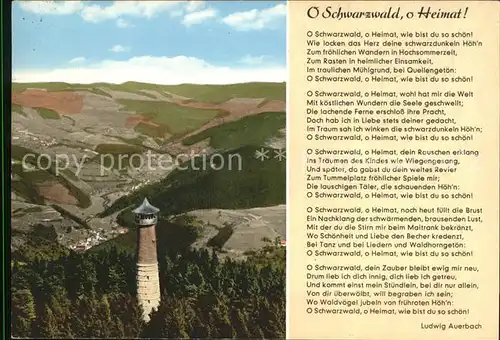 Schopfheim Hohe Moehr Wiesental Lied O Schwarzwald o Heimat  Kat. Schopfheim