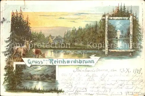 Reinhardsbrunn Panorama Hirsch Reh Partie am Fluss Kat. Friedrichroda