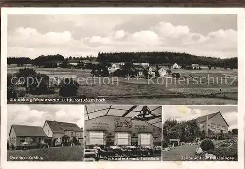 Steineberg Gesamtansicht Luftkurort Gasthaus Kohlhas Festsaal Parkanlagen Kat. Steineberg