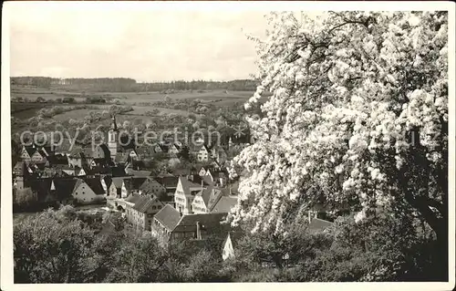 Creglingen Teilansicht Kat. Creglingen