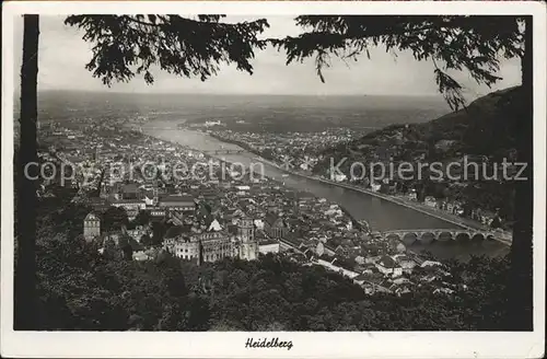 Heidelberg Neckar Totalansicht Kat. Heidelberg