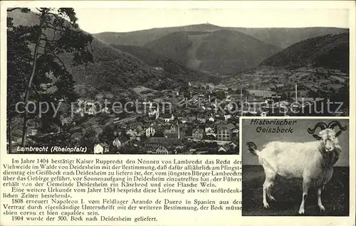 Lambrecht Totalansicht Historischer Geissbock Kat. Lambrecht (Pfalz)