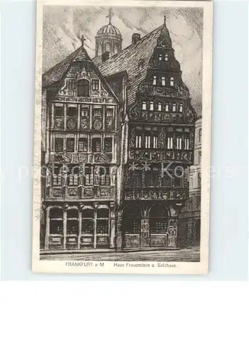 Frankfurt Main Haus Frauenstein und Salzhaus Kuenstlerkarte Kat. Frankfurt am Main