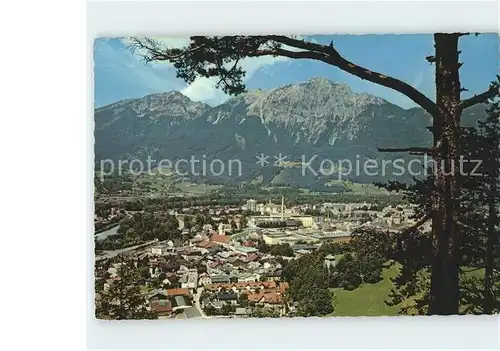 Bad Reichenhall Panorama mit Zwiesel und Hochstaufen Chiemgauer Alpen Kat. Bad Reichenhall