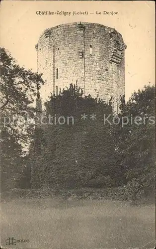 Chatillon Coligny Le Donjon Kat. Chatillon Coligny