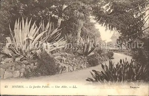 Hyeres Jardin Public une allee Kat. Hyeres