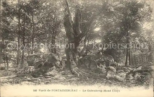 Fontainebleau Seine et Marne Foret Le Gutenberg Mont Ussy Kat. Fontainebleau