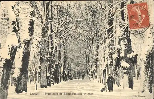 Langres Promenade de Blanchefontaine en hiver Stempel auf AK Kat. Langres