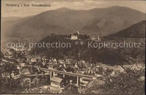 Hornberg Schwarzwald Fliegeraufnahme Kat. Hornberg