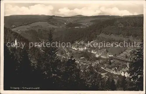 Triberg Schwarzwald  Kat. Triberg im Schwarzwald