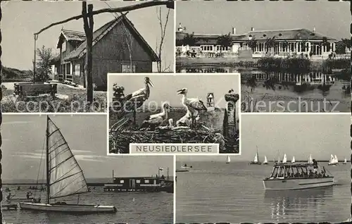 Neusiedl See Ziehbrunnen Segelschiffe Motorboot Stoerche Kat. Neusiedl am See