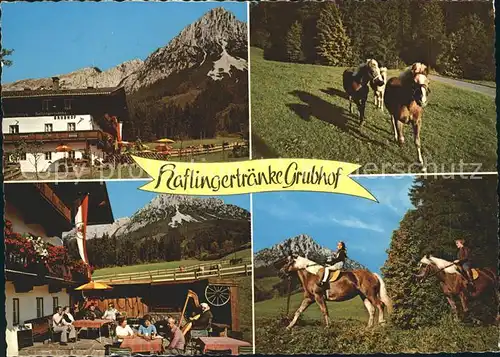 Ellmau Tirol Haflingertraenke Grubhof Reiten Wilder Kaiser Kat. Ellmau