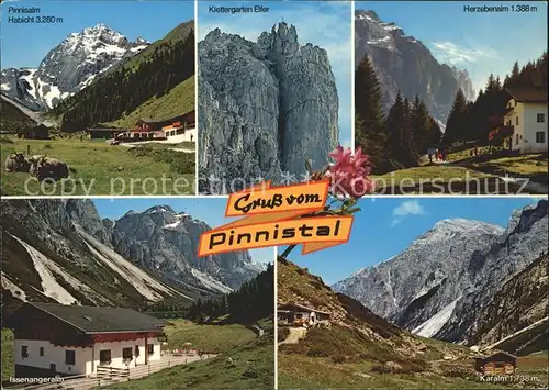 Pinnistal Klettergarten Almen Alpenblume Habicht Stubaier Alpen Kat. Neustift im Stubaital