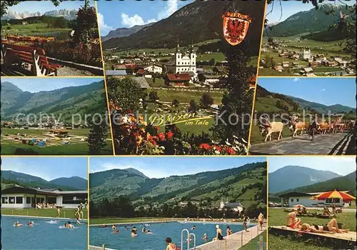 Brixen Thale Teilansichten Kuehe Viehtrieb Freibad Kirche Wappen Kat. Brixen im Thale