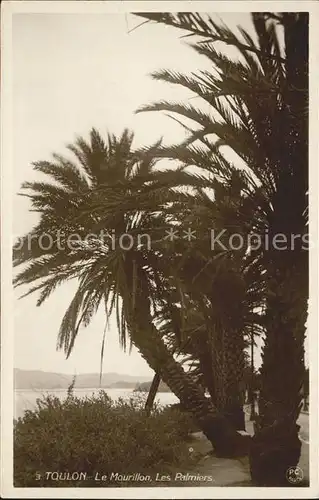 Toulon Var Le Mourillon Les Palmiers Kat. Toulon