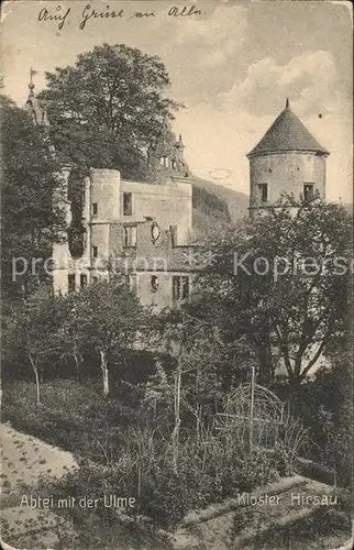 Hirsau Abtei mit der Ulme Kat. Calw