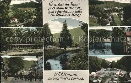 Wildemann Klein Tirol im Oberharz Teilansichten Kat. Wildemann Harz