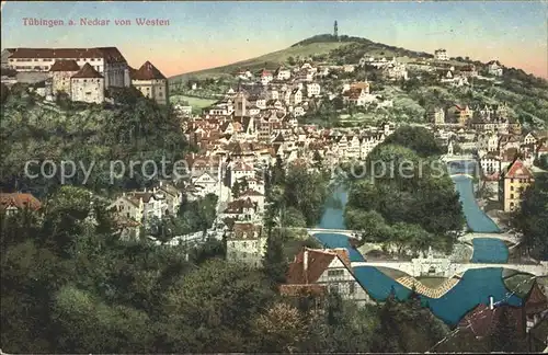 Tuebingen Totalansicht mit Neckar und Schloss Kat. Tuebingen