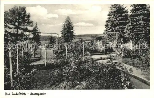 Bad Senkelteich Rosengarten Kat. Vlotho