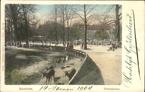 Haarlem Hertenkamp Tierpark Kat. Haarlem