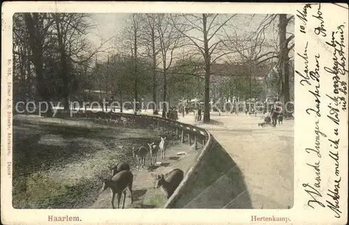 Haarlem Hertemkamp Tierpark Kat. Haarlem