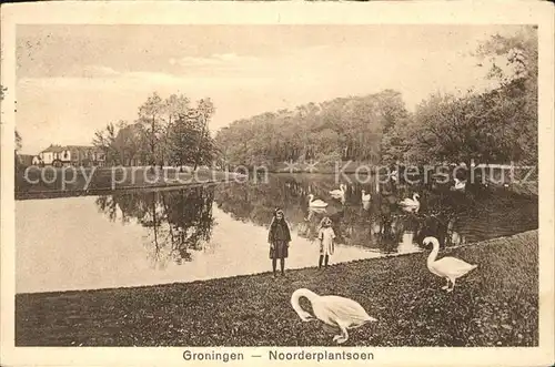 Groningen Noorderplantsoen Schwan Kat. Groningen