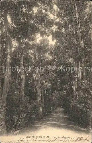 Golfe Juan Les Eucalyptus Kat. Antibes