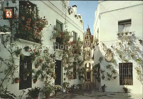 Cadiz Andalucia Calleja y Plaza de las Flores Kat. Cadiz