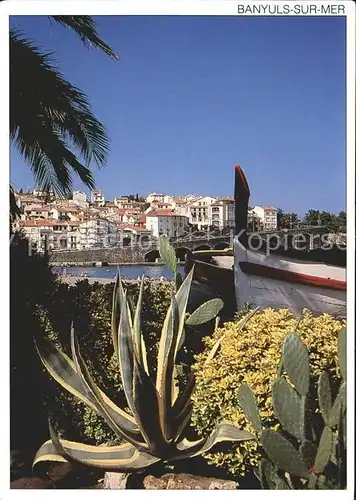 Banyuls sur Mer Vegetation mediterraneenne sur le front de mer Kat. Banyuls sur Mer