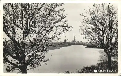 Tiel Bloeiende Betuwe Baumbluete Windmuehle Kirche Kat. Tiel