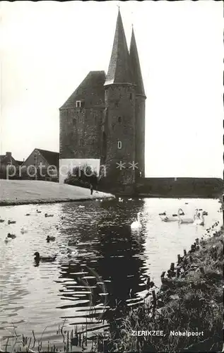 Zierikzee Nobelpoort Schwan Enten Kat. Zierikzee